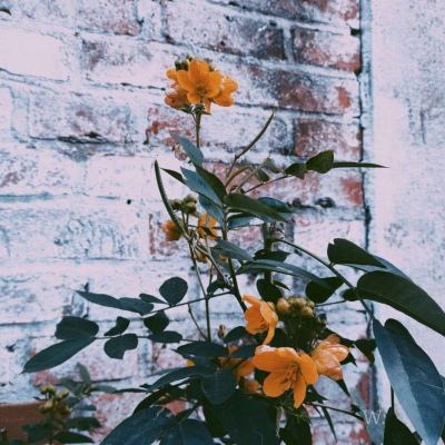 银河棋牌手机app下载